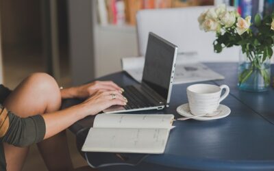 Freelance Book Translator vs Agency: What’s Best for Your Book?