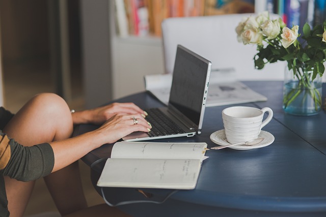 Freelance Book Translator vs Agency: What’s Best for Your Book?